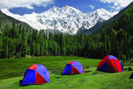 fairymeadows-best-photos