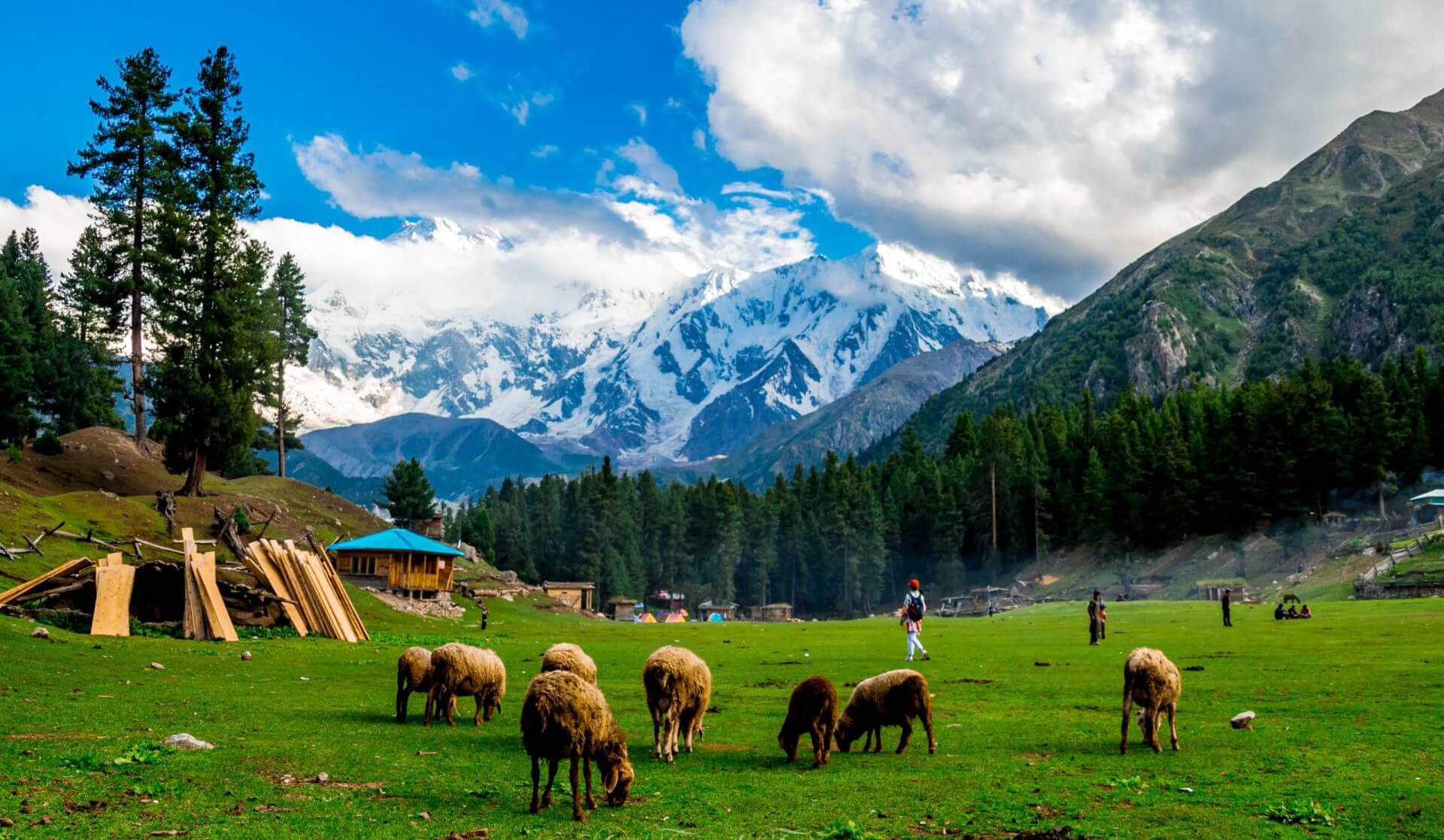how to reach fairy meadows